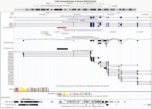 genome browser